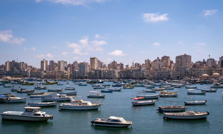 Alexandria harbour and city skyline viewed from the Citadel.