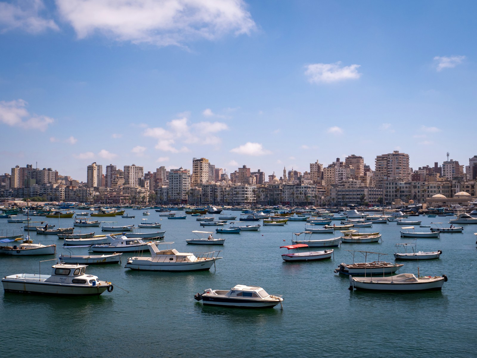 Alexandria harbour and city skyline viewed from the Citadel.