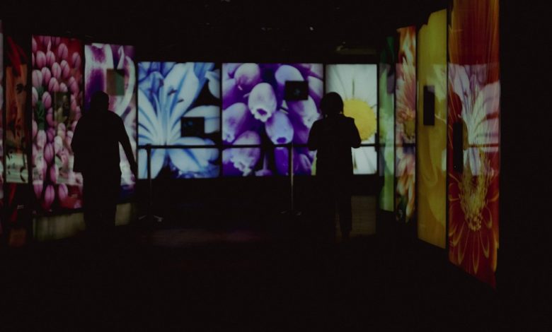 Visitors viewing colorful digital artwork on large gallery screens