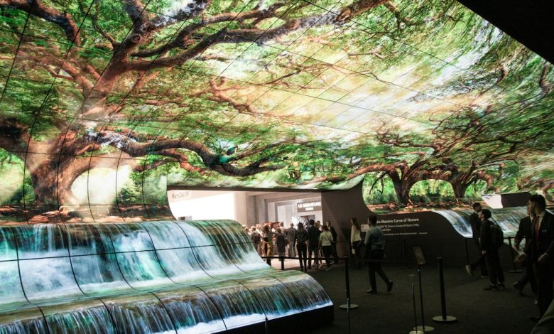 Visitors experiencing a large immersive digital installation