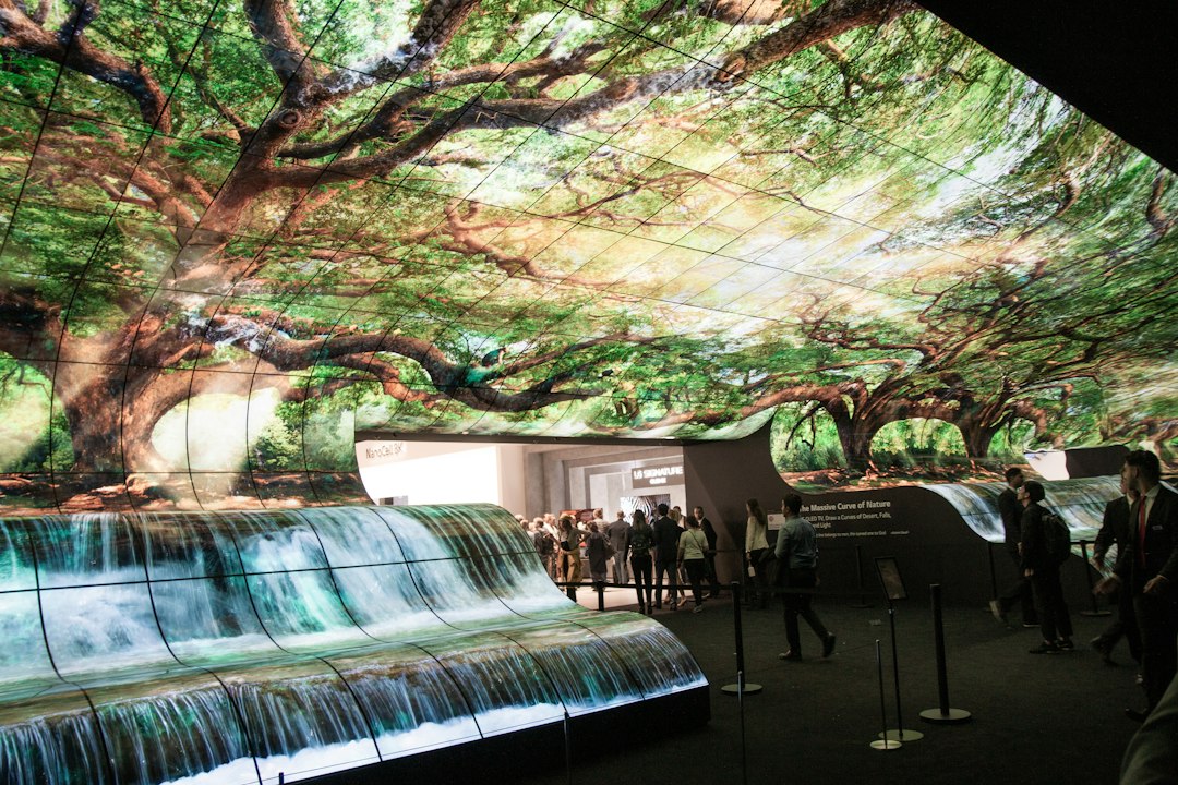 Visitors experiencing a large immersive digital installation